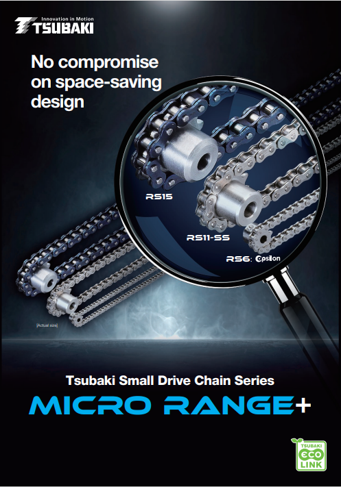 Small Drive Chain Series (RS6/11/15)