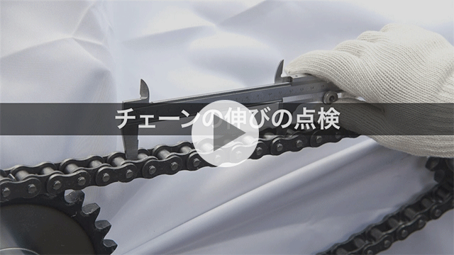 체인 신장 점검