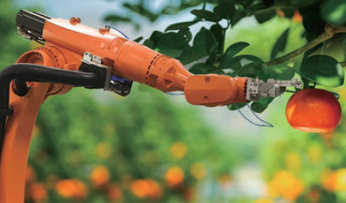 농작물 수확 로봇