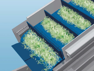 야채 등의 반송